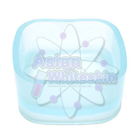 Blue rectangular soap mold - 100
